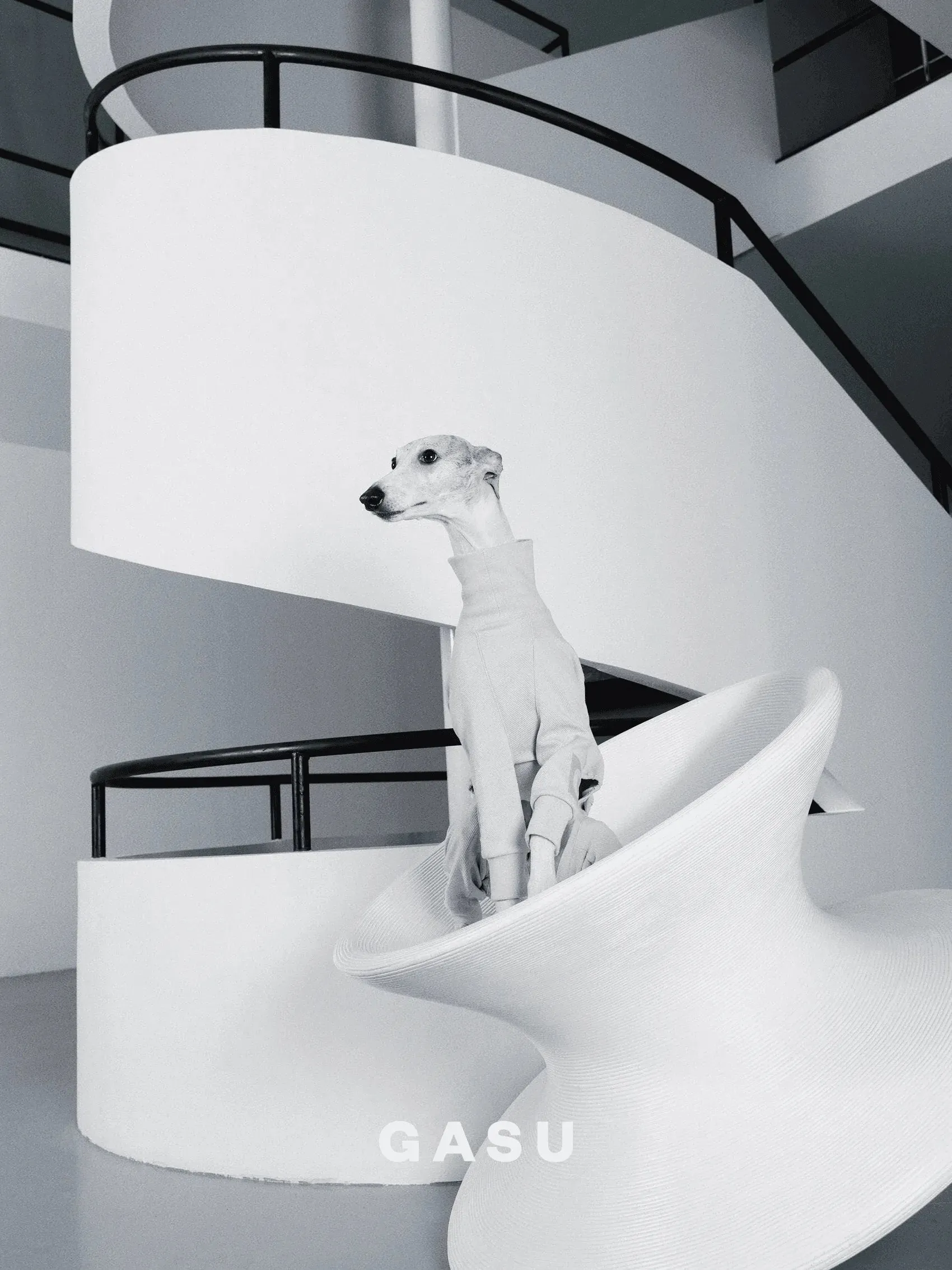 4-Leg Cotton Dog Jumpsuit