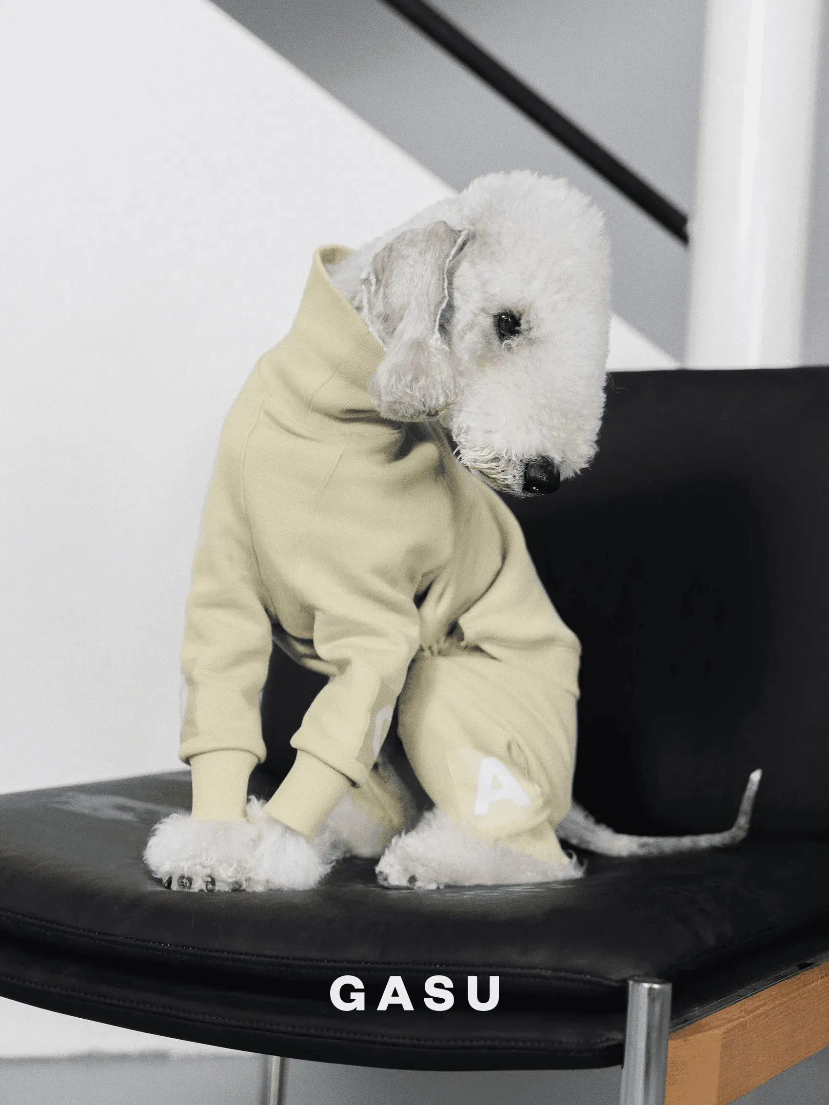 4-Leg Cotton Dog Jumpsuit