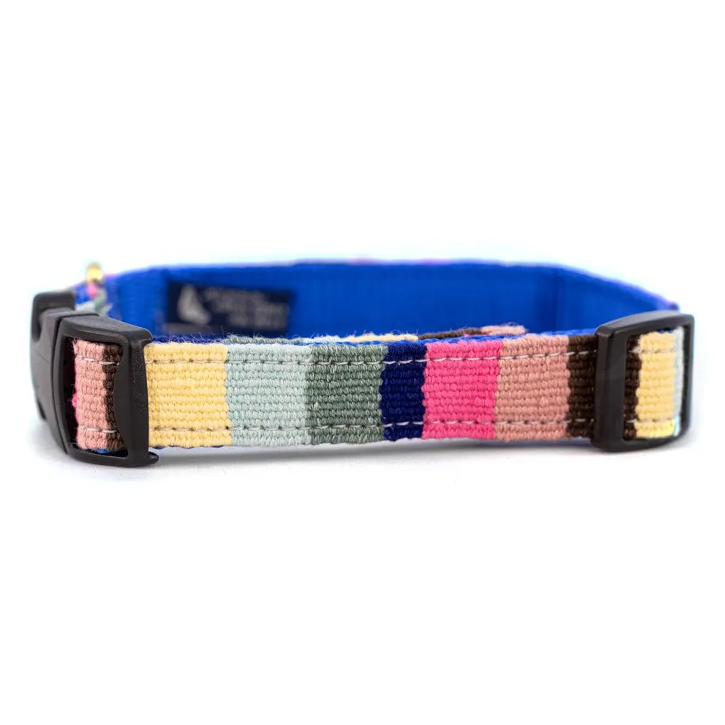 A Tail We Could Wag Side Release Collar Beach Collection