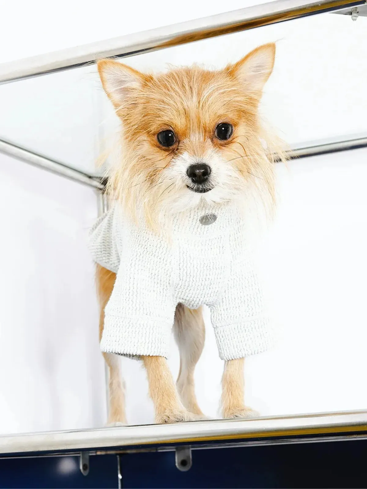 Jacquard Woven Cotton 2-Leg Dog Pullover