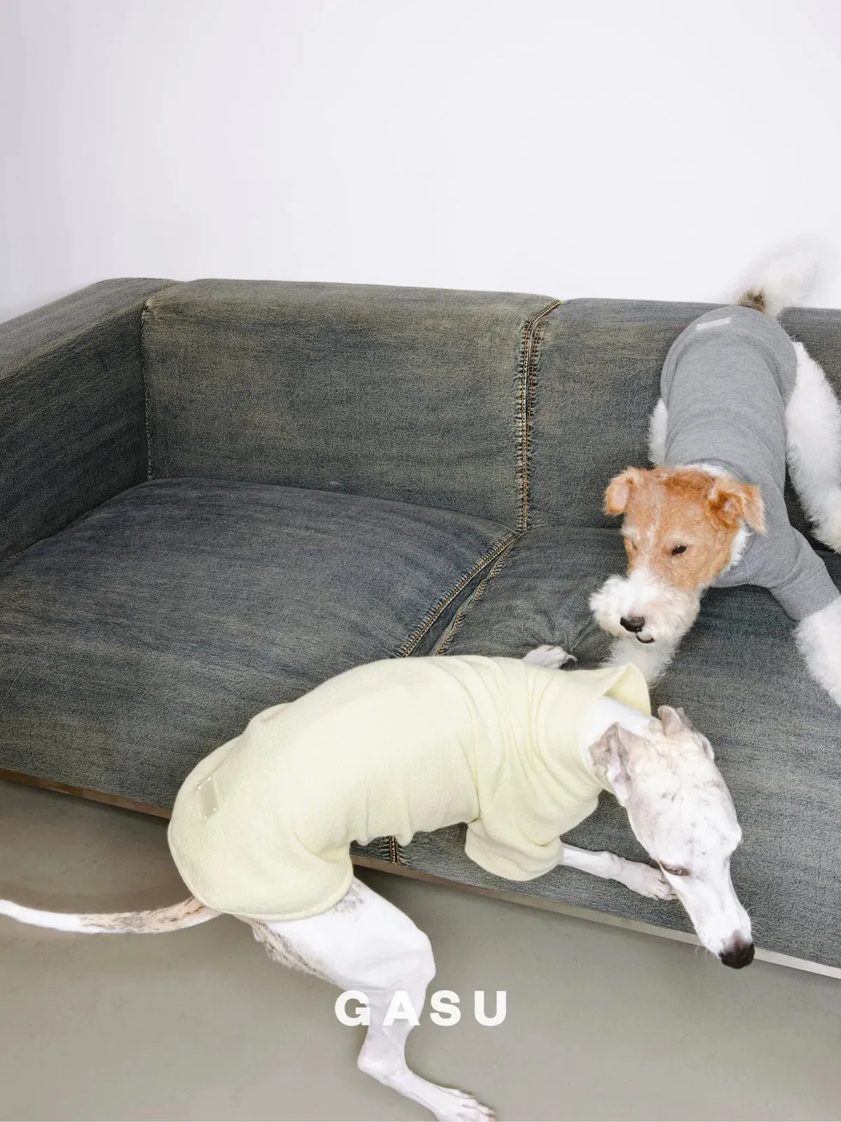 Jacquard Woven Cotton 2-Leg Dog Pullover