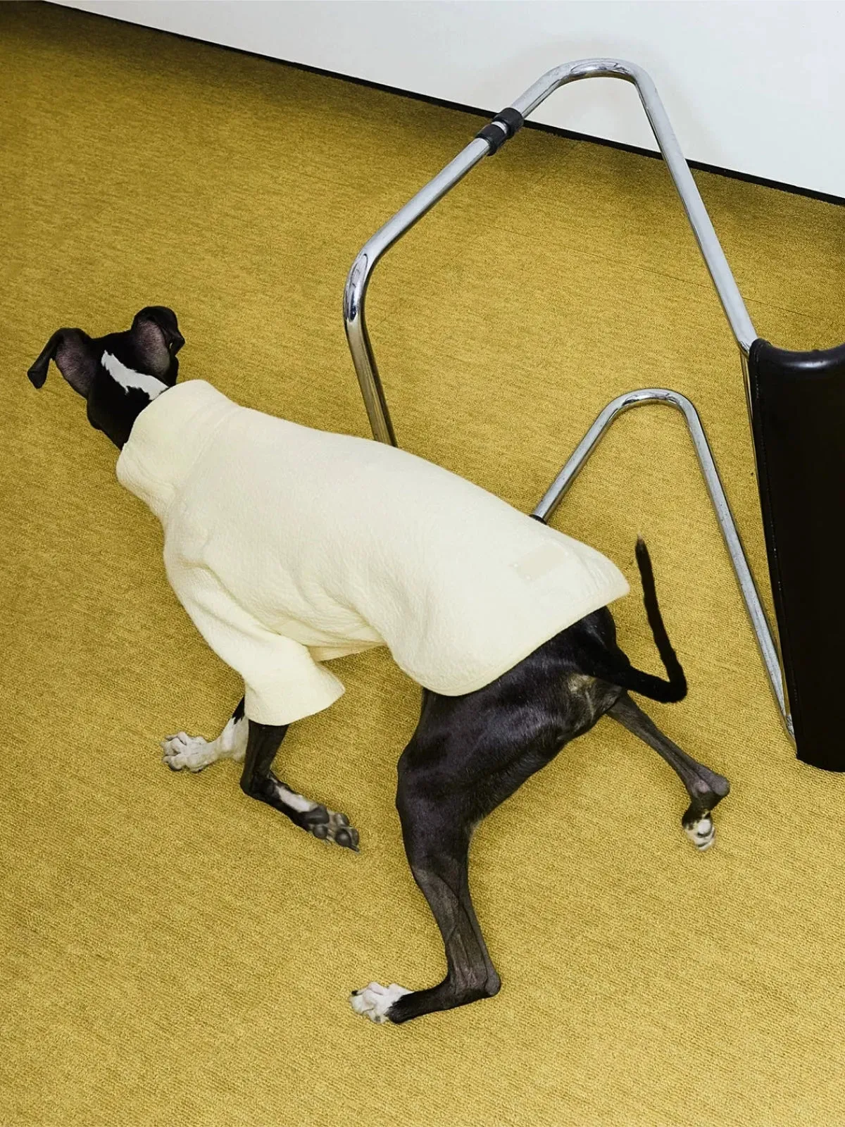 Jacquard Woven Cotton 2-Leg Dog Pullover