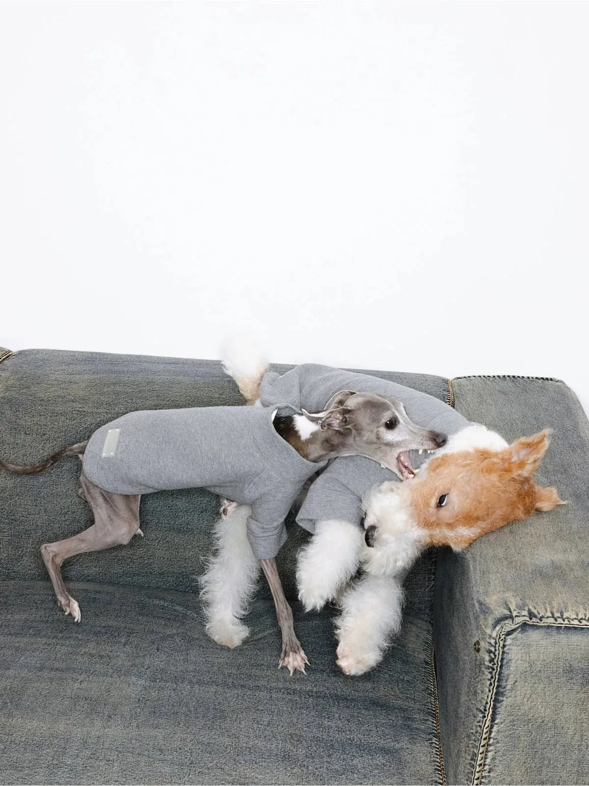 Jacquard Woven Cotton 2-Leg Dog Pullover