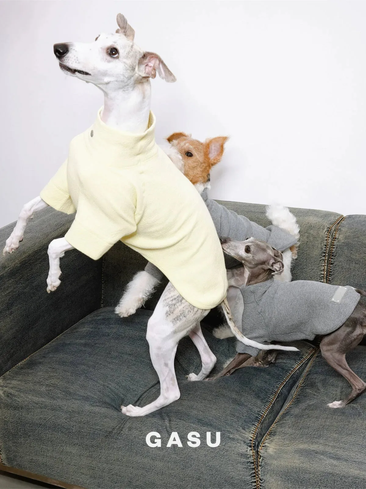 Jacquard Woven Cotton 2-Leg Dog Pullover