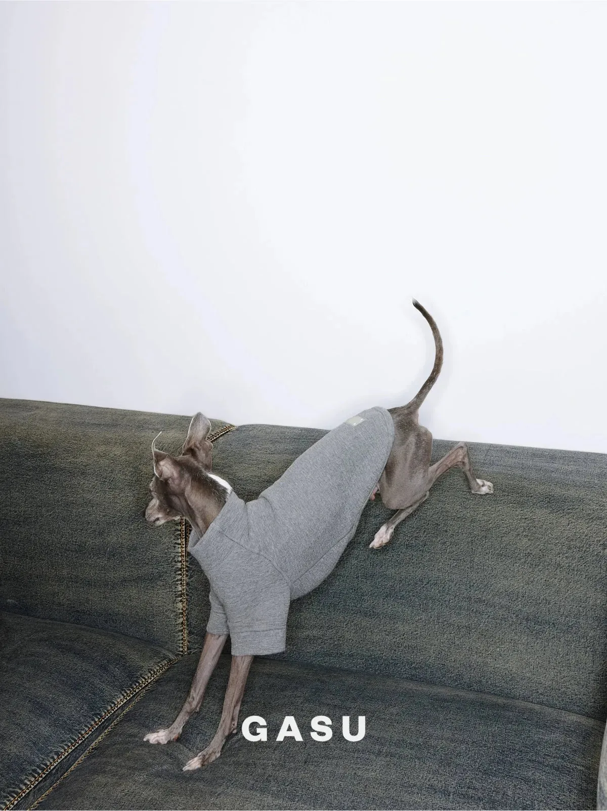 Jacquard Woven Cotton 2-Leg Dog Pullover