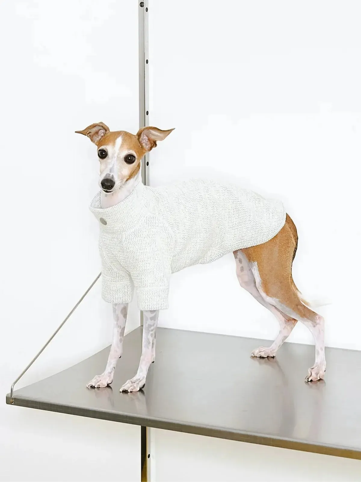 Jacquard Woven Cotton 2-Leg Dog Pullover