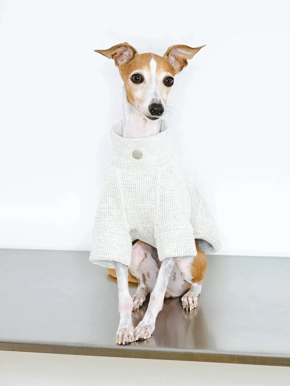 Jacquard Woven Cotton 2-Leg Dog Pullover