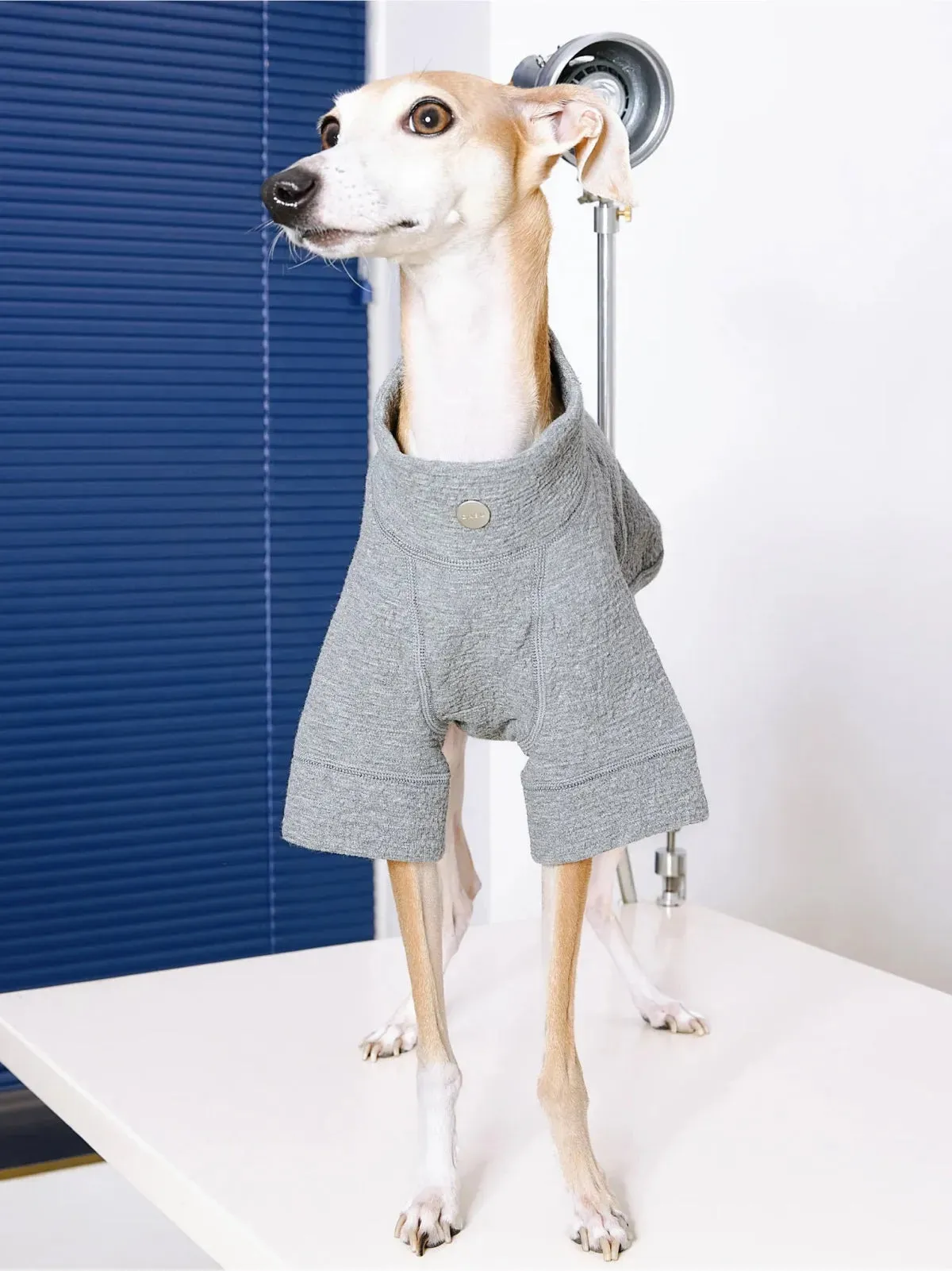 Jacquard Woven Cotton 2-Leg Dog Pullover