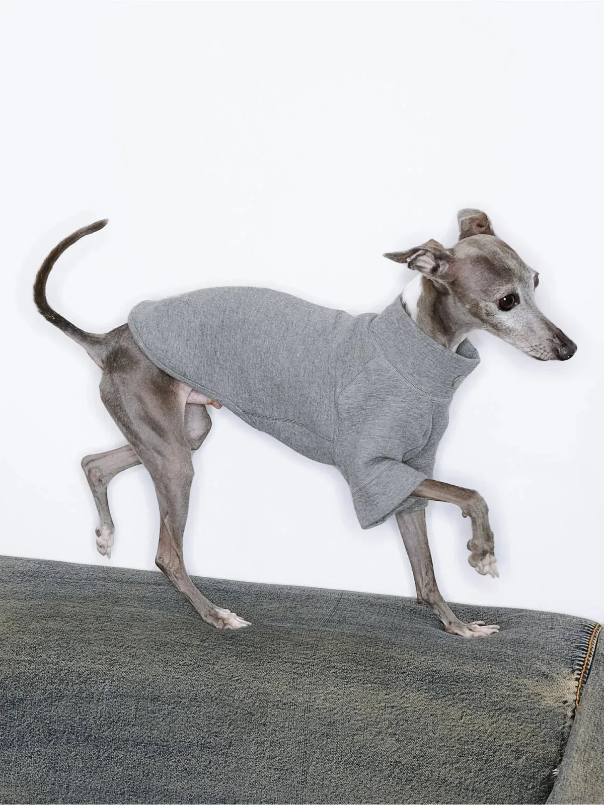 Jacquard Woven Cotton 2-Leg Dog Pullover