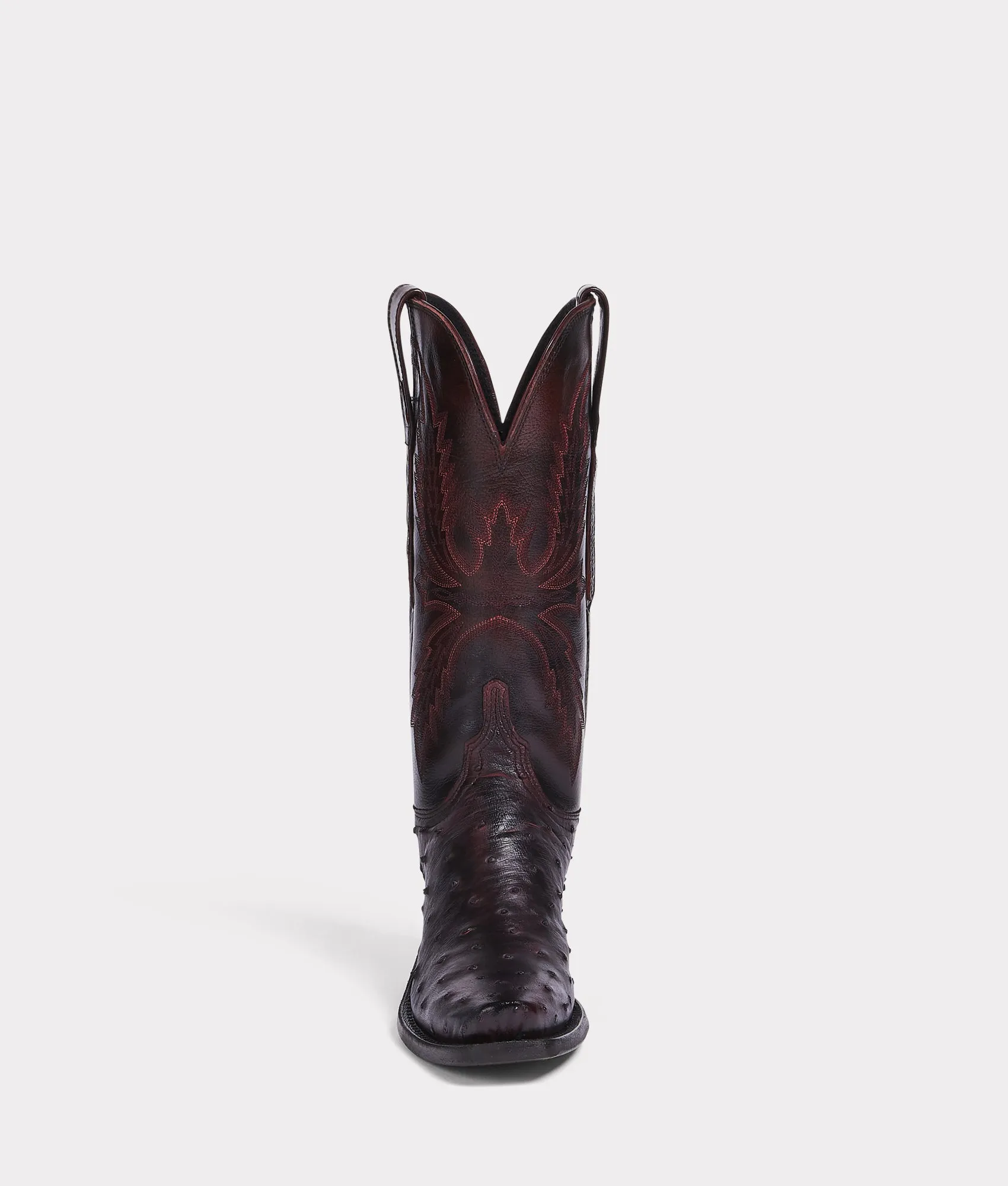 Josephine :: Black Cherry