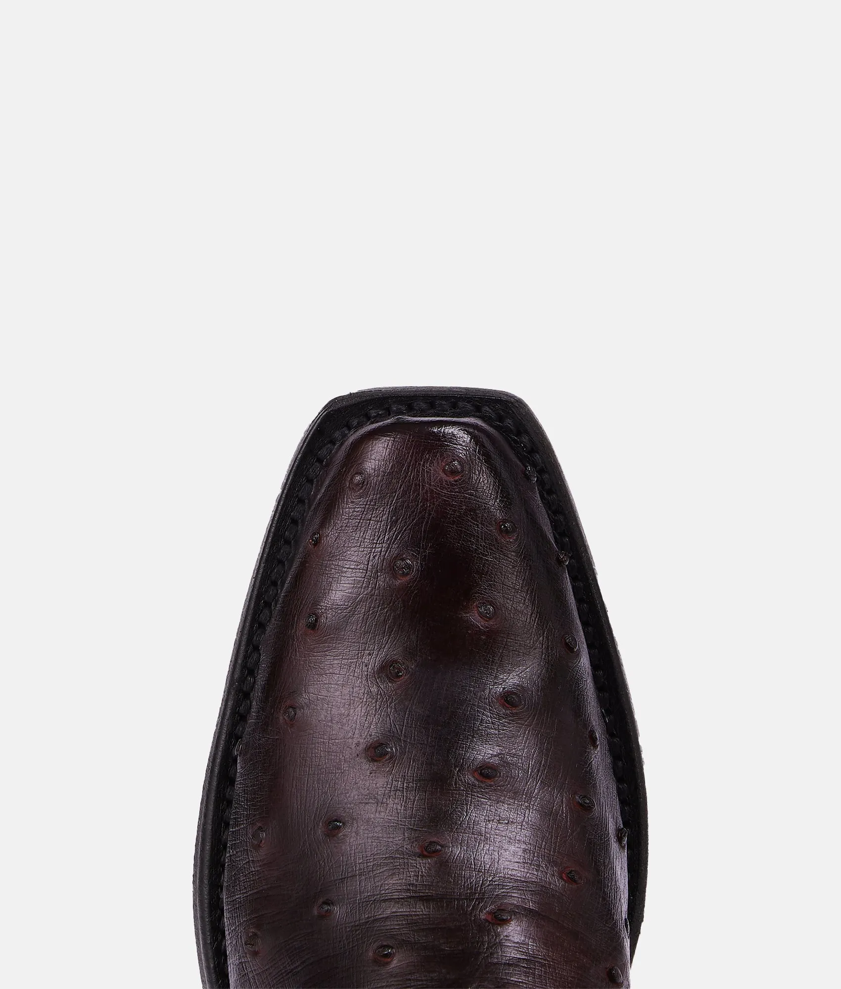 Josephine :: Black Cherry