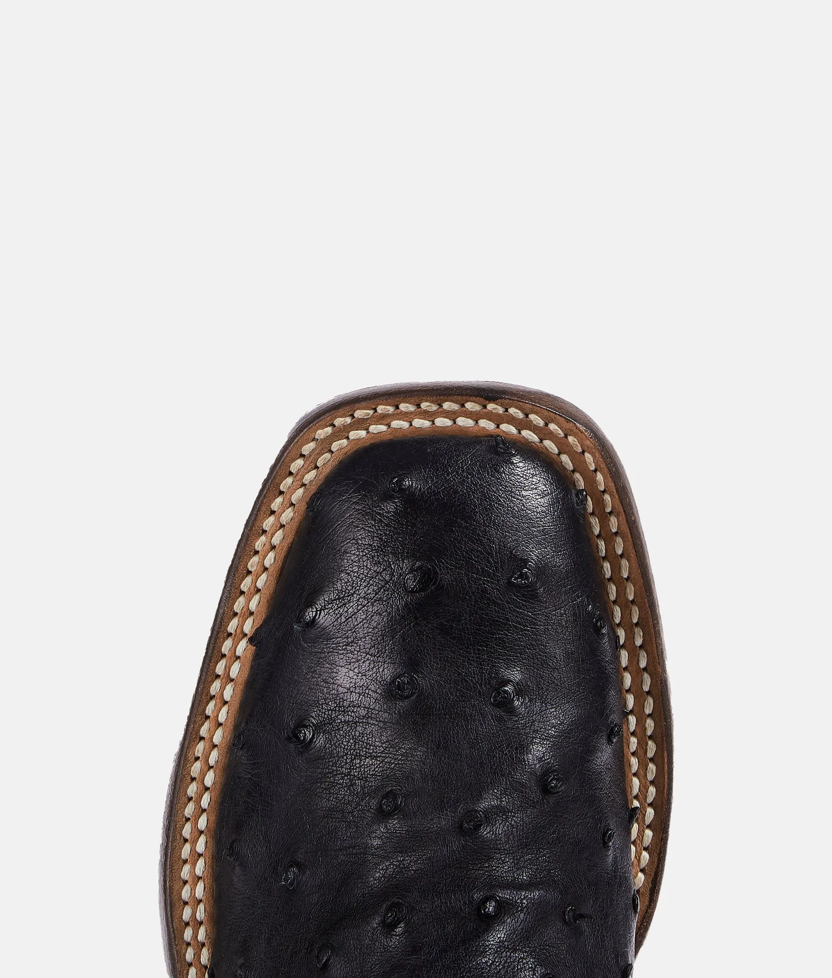 Josephine Horseman :: Antique Black
